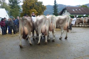 Schneuter ltere 2
